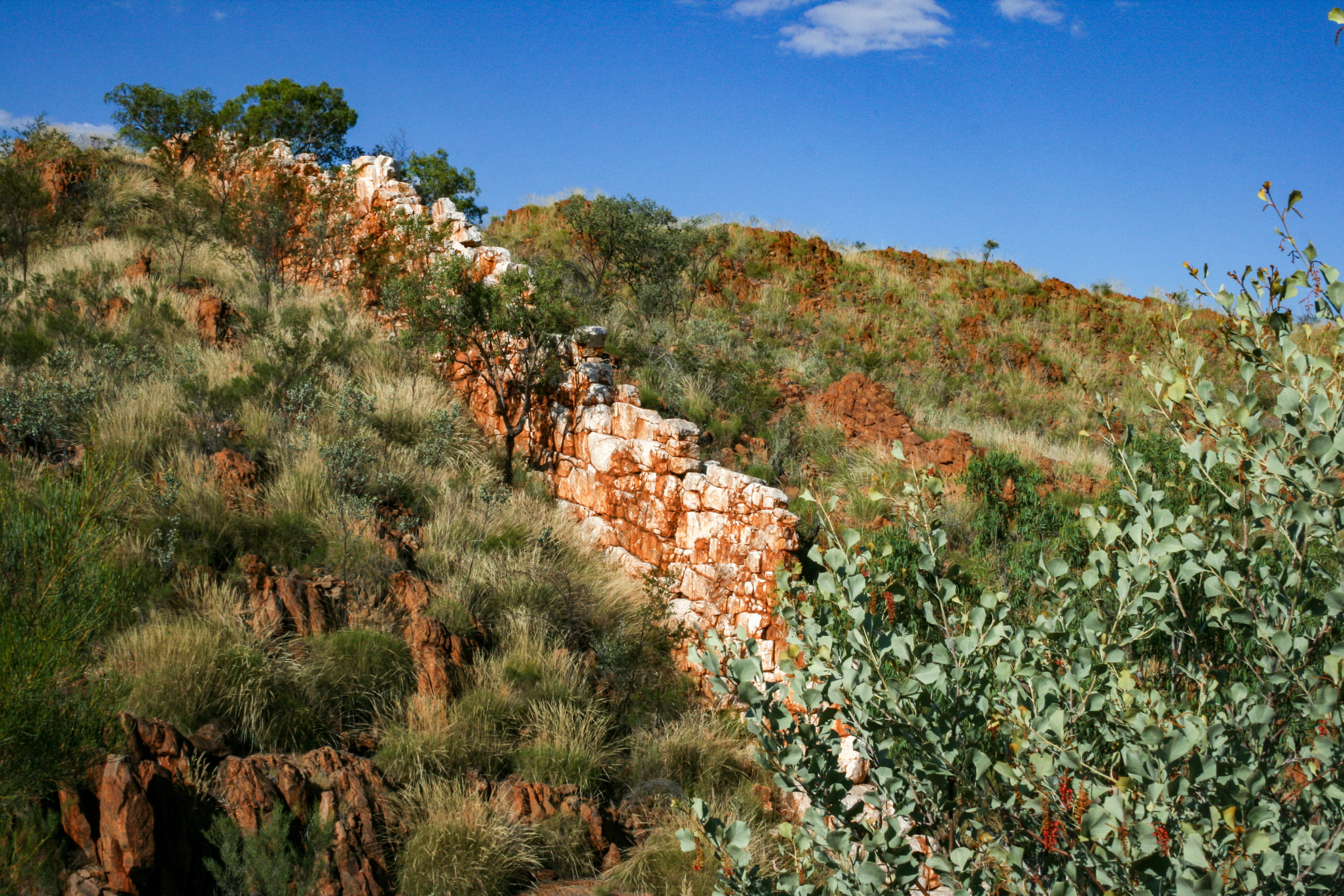 halls creek, western australia.webp